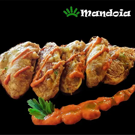 بيت شباب Mandoia Aterpetxea