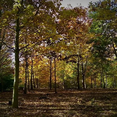 Mandoia Aterpetxea Arantzazu