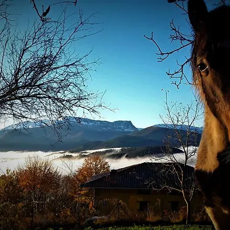 Mandoia Aterpetxea بيت شباب