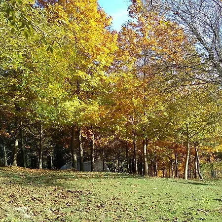 Mandoia Aterpetxea *