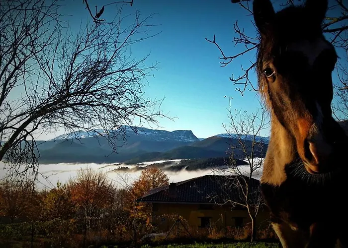 Mandoia Aterpetxea Hostel