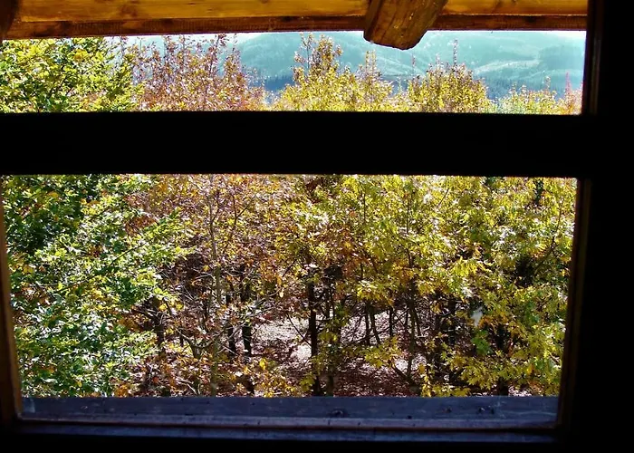 Mandoia Aterpetxea Hostel