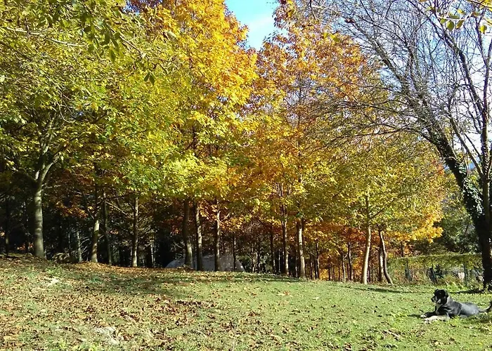 Mandoia Aterpetxea *