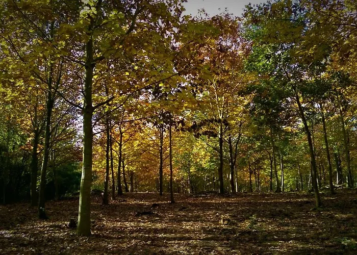 Mandoia Aterpetxea Arantzazu